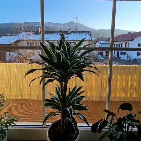 Bergliebe Apartment *